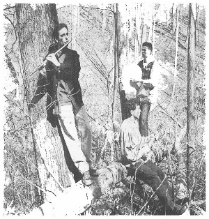Tree Surgeons: Mark, Glen, and Jesse